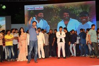 Son of Satyamurthy Audio Successmeet Photos